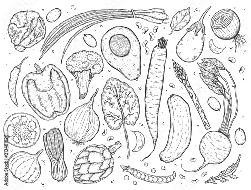 Vector big set of vegetables in a realistic sketch style monochrome. Healthy food  natural product  vegetable farm  vegan food  sports nutrition.