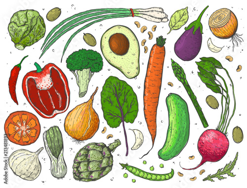Vector big set of vegetables in a realistic sketch style. Healthy food, natural product, vegetable farm, vegan food, sports nutrition.