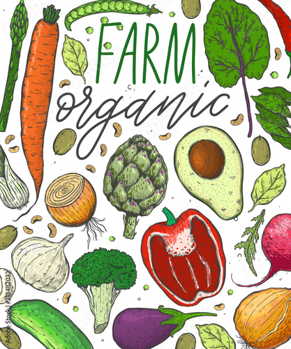 Vector big set of vegetables in a realistic sketch style. Healthy food, natural product, vegetable farm, vegan food, sports nutrition.