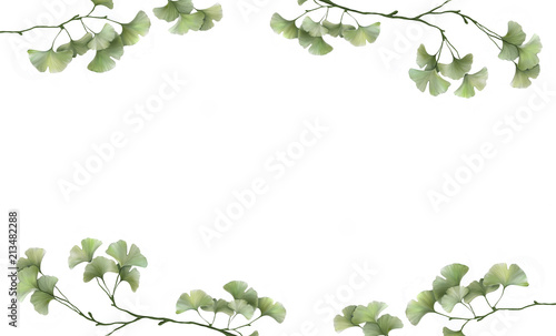 beautiful white banner with painted ginkgo leaves