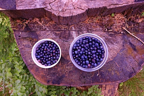 vegan fruit blueberies