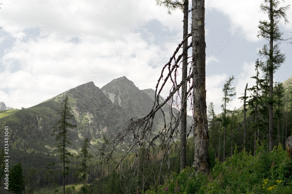 Obraz premium Solisko peak in Tatra Mountains, Slovakia.