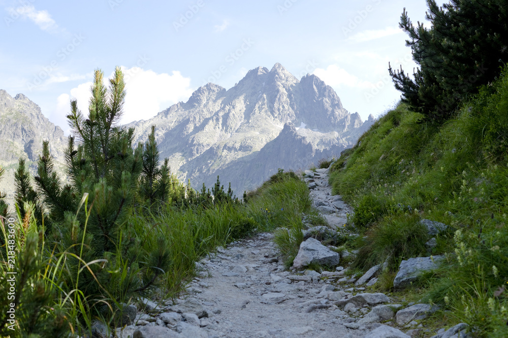 Fototapeta premium Tatra Mountain peaks in the distance. Dusty pathway in the shadow, Slovakia