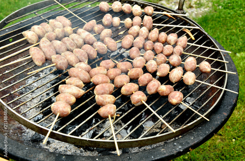 Grilled  Pork and RiceThai sausage in the garden in summer season.
(Thai name is Sai Krok Isan) photo