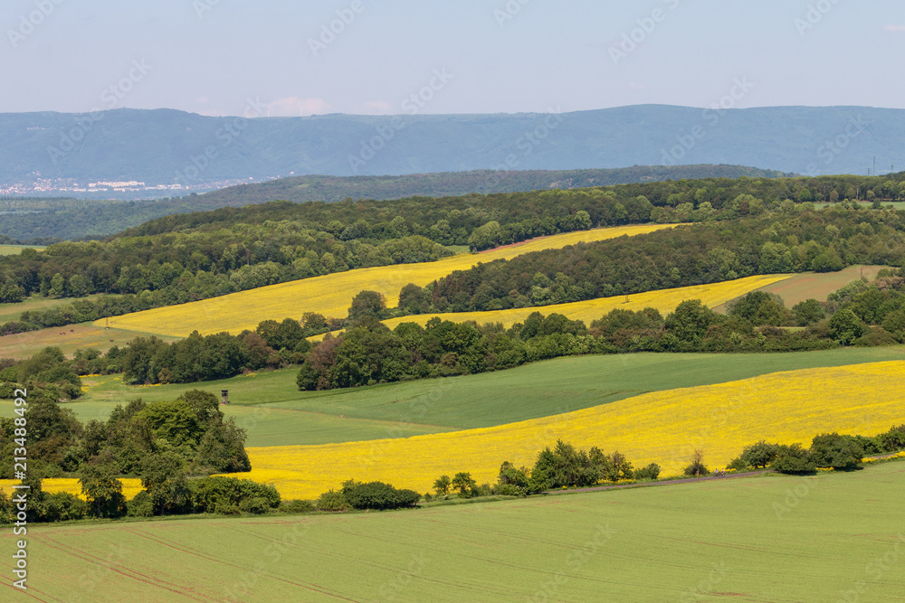 Multicolored rural landscape, agricultural fields. Colored strips: clear blue sky, blue mountains, green wheat, yellow flowering rape, green trees. Spring, Czech Republic.