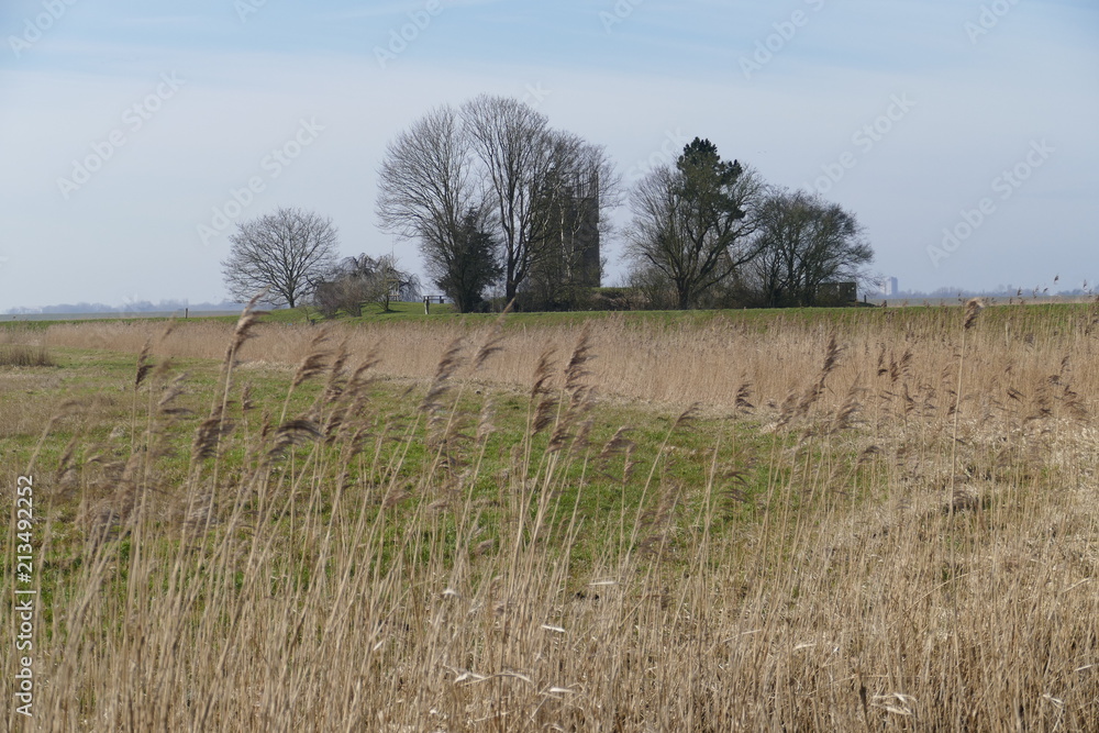 Obraz premium landschaft