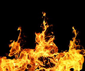 Fire flames on black background.