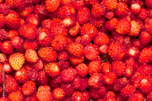 Red ripe strawberry from the forest as a background