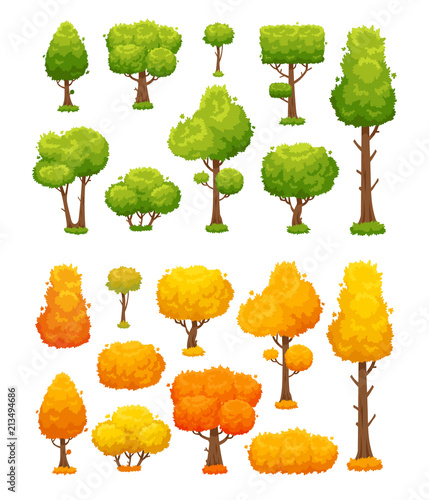 Cartoon tree. Cute wood plants and bushes. Green and yellow autumn trees vector landscape elements