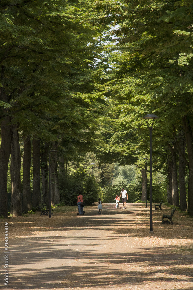 viale viale