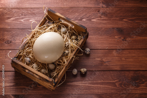 Big ostrich egg on straw surround by quail eggs, copyspace