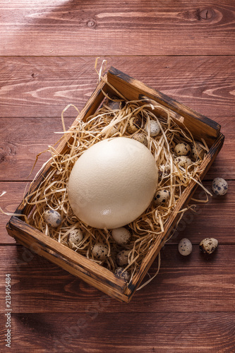 Big ostrich egg on straw surround by quail eggs, copyspace photo