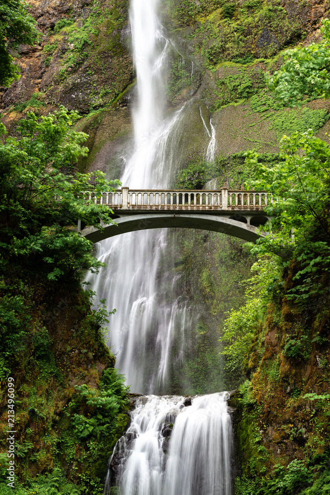 Fototapeta premium Wodospad Multnomah w wąwozie rzeki Columbia, Oregon, USA
