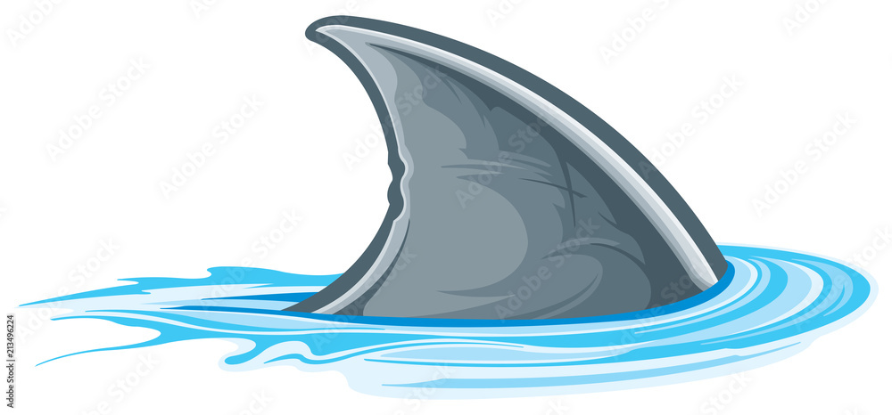 Obraz premium Płetwa rekina