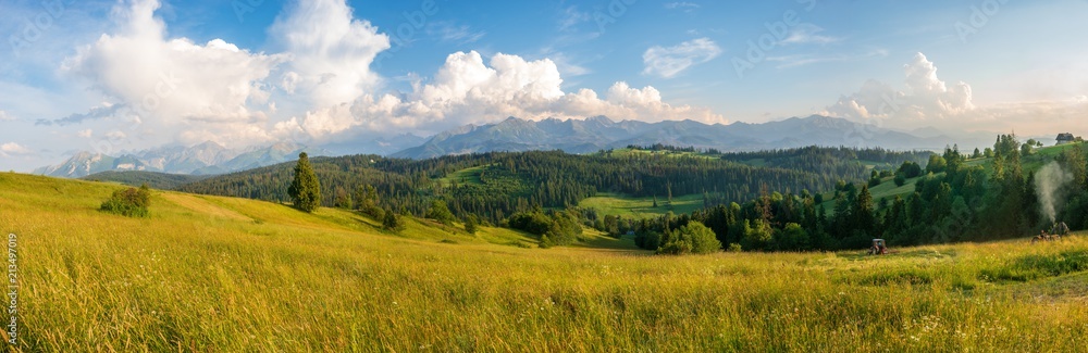 Panorama of the Tatra Mountains in Poland, mountain meadow.