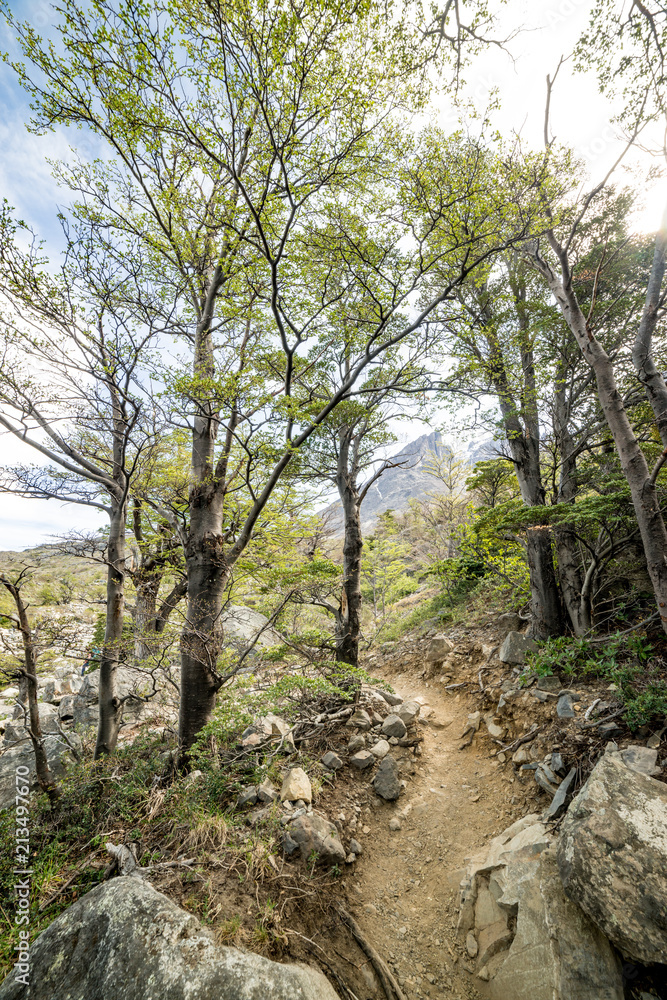 Fototapeta premium Patagonia, Chile Landscape