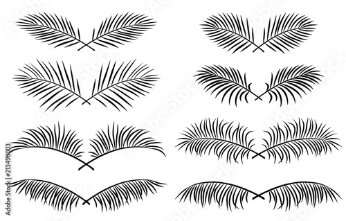 set of borders with palm leaves