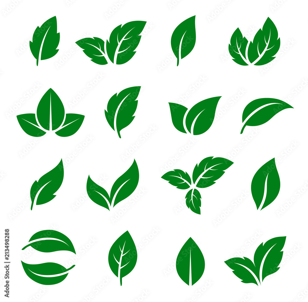 set of green leaf icons - obrazy, fototapety, plakaty 