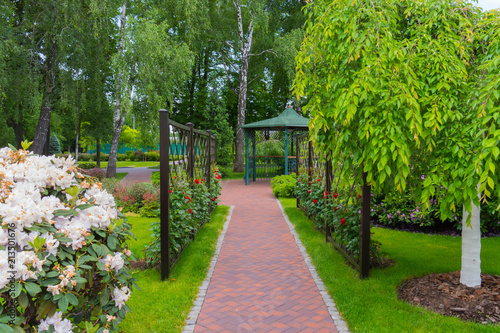 The park alley along the fence with red roses leading to a decorative gazebo with a green roof