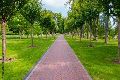 A beautiful alley in the park is paved with tiles with a green lawn on the sides and young trees planted in slender rows.
