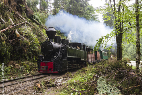 Steam Train in Woods