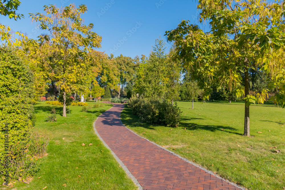 Beautiful nature with green grass and trees with a path going into the distance