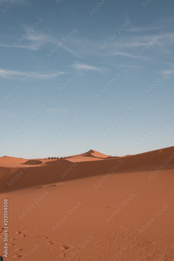 Sahara sand dune 2