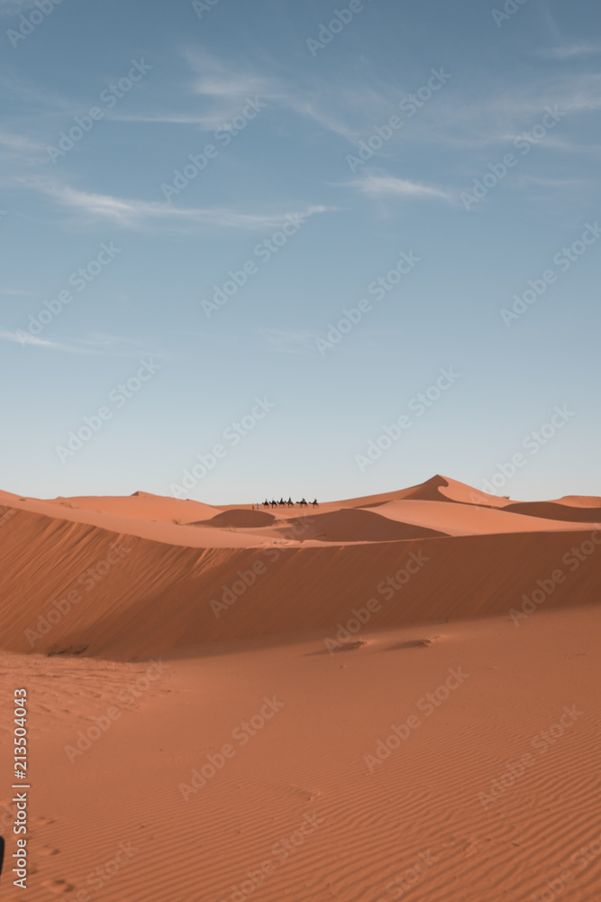 Sahara desert dune 3