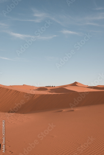 Sahara desert dune 3