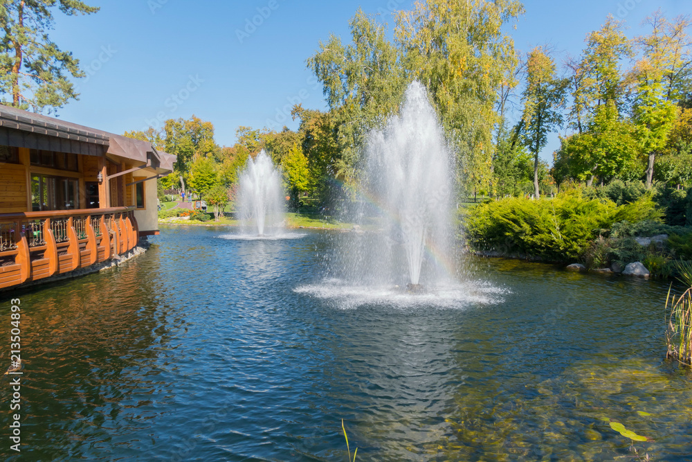 Lake with high lush fountains near the green park zone with walking alleys
