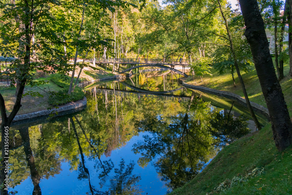 A bridge in the garden so that you can go walking on the other side of the pond A bridge in the garden so that you can go walking on the other side of the pond