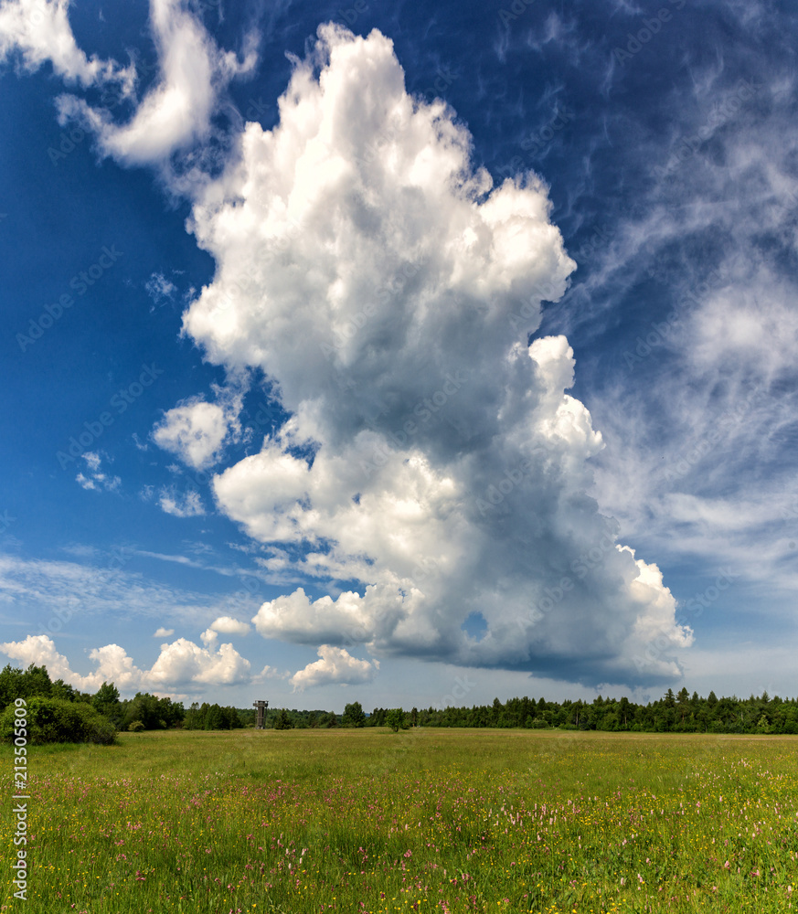 Thundercloud over a meadow, Schwarzes Moor Thundercloud over a meadow, Schwarzes Moor