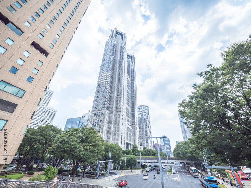 Obraz premium 東京都庁 高層ビル