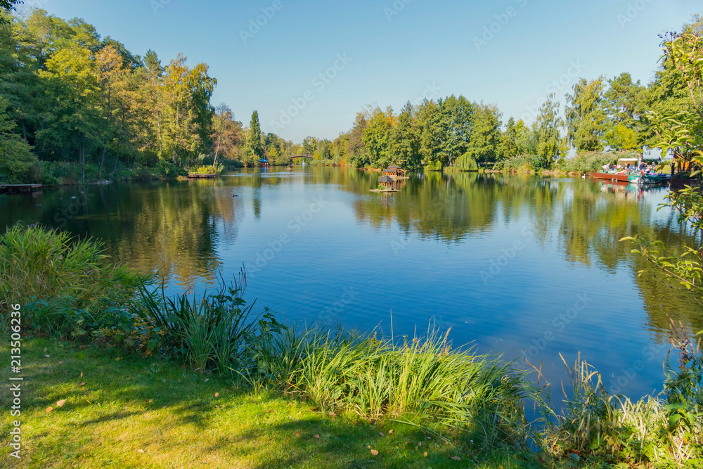 Green pond bank with a grass growing in the water with a beautiful view of the surrounding nature and a clear blue sky without clouds.