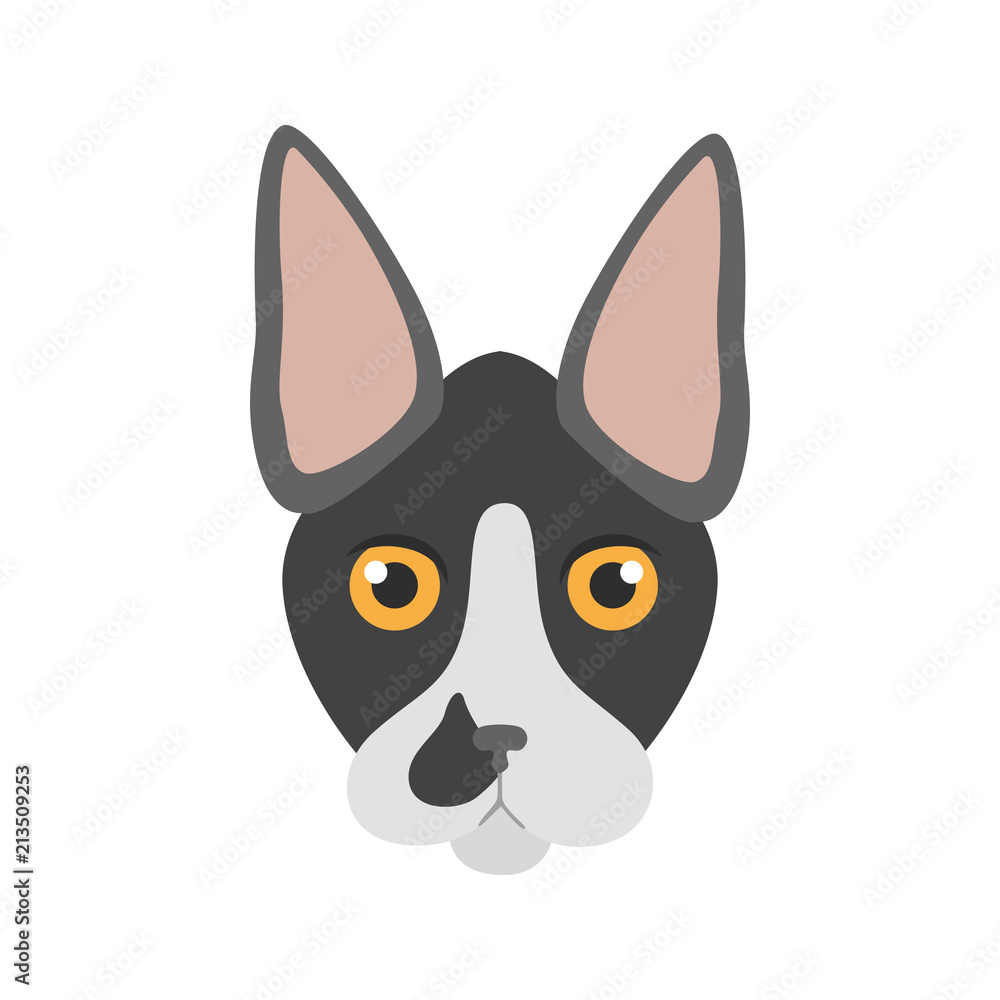 Devon Rex breed cat muzzle color vector icon