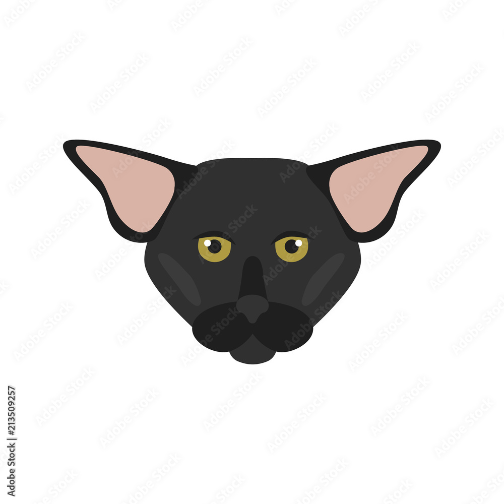Obraz premium Oriental breed cat muzzle color vector icon