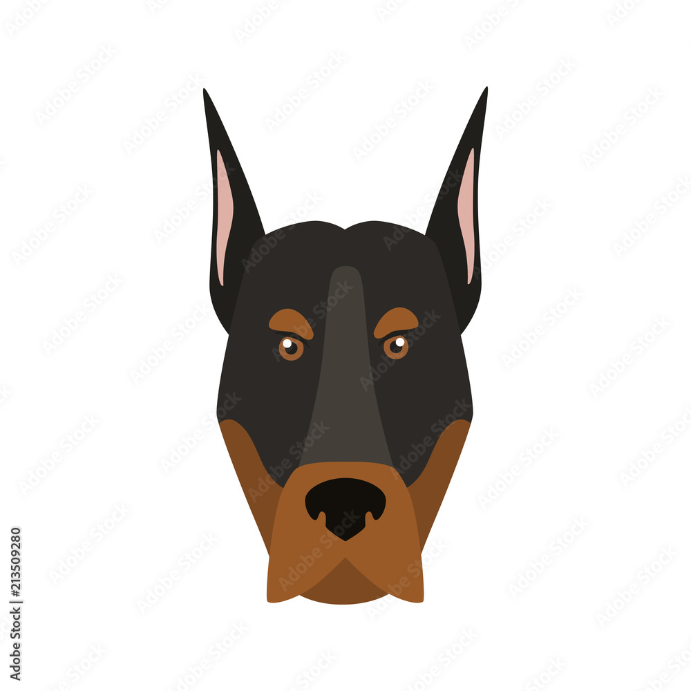 Doberman breed dog muzzle color vector icon