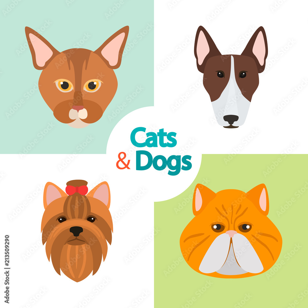 Different cats and dogs breeds muzzles color vector icons set. Flat design