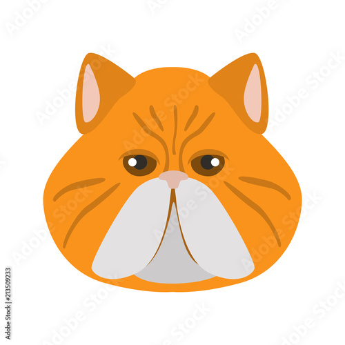 Persian breed cat muzzle color vector icon
