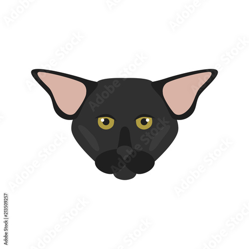 Oriental breed cat muzzle color vector icon