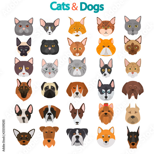 Different cats and dogs breeds muzzles big color vector icons set. Flat design