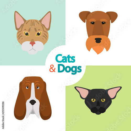 Different cats and dogs breeds muzzles color vector icons set. Flat design