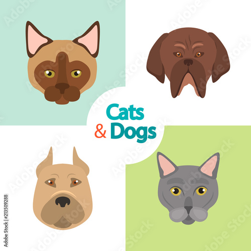 Different cats and dogs breeds muzzles color vector icons set. Flat design