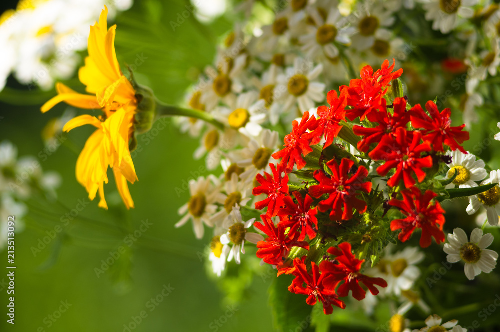 a bouquet of bright spring flowers of various types a bouquet of bright spring flowers of various types