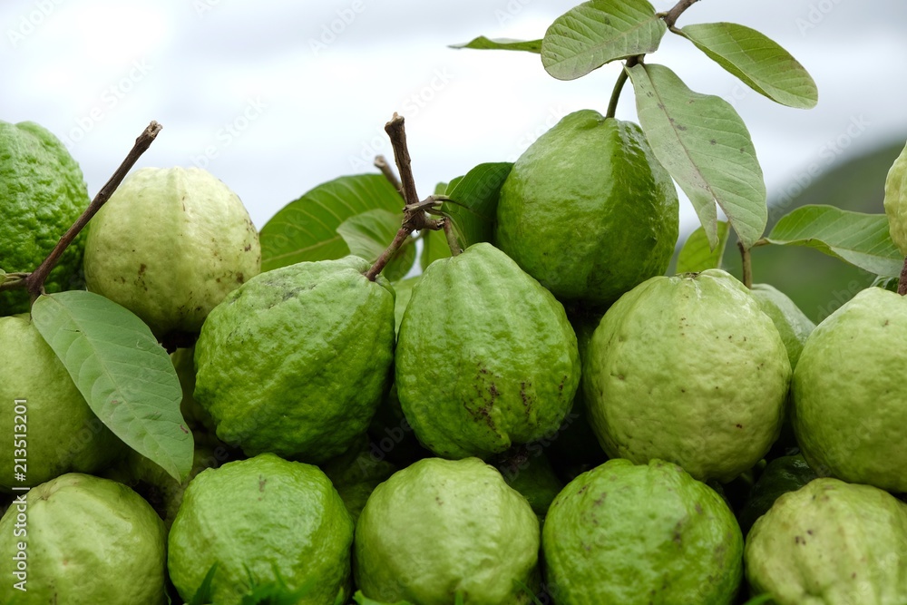 Fototapeta premium fresh guava in the market on hill