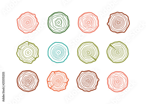 vector tree rings background. Wood circle vetor