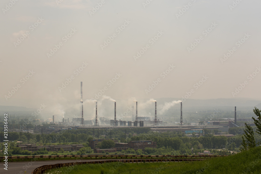the plant with smoke and dirty air-pollution