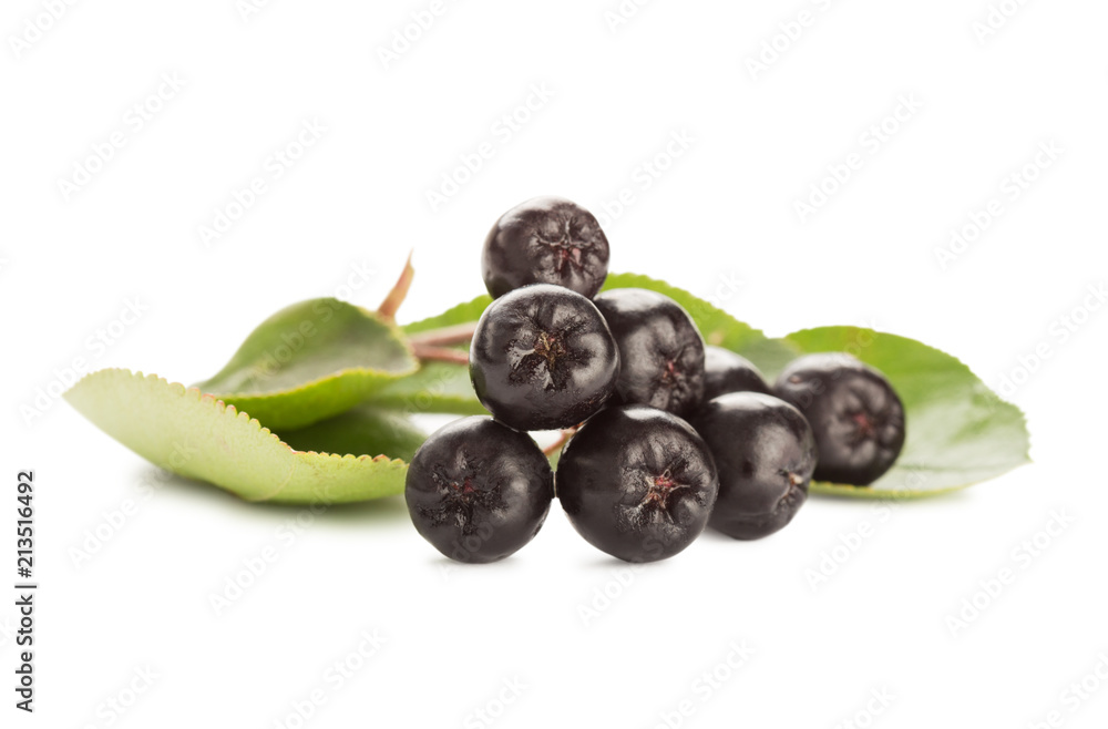 Close up of aronia chokeberry isolated on white. Close up of aronia chokeberry isolated on white.