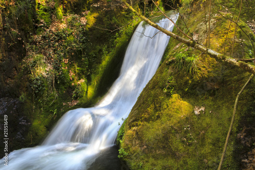 Wasser