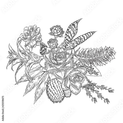 Composition of succulents, cactus, green plants, botanical drawing. Black white handdrawn bouquet. Flesh tattoo concept. Coloring book page. All flowers are editable separately. Vector.